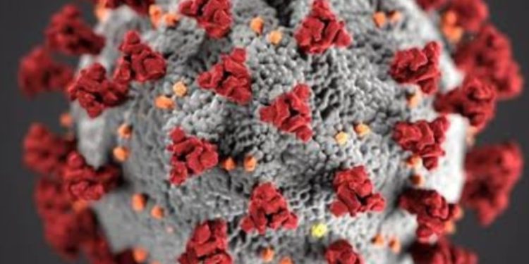 होशियार: उत्तराखंड में कोरोना पसार रहा पांव।