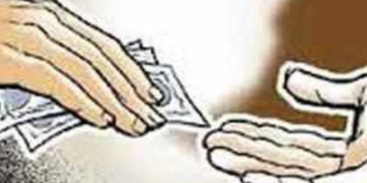 बड़ी खबर: विजिलेंस का दावा कैमरे के पीछे लेते हैं रिश्वत कराएगी सर्वे