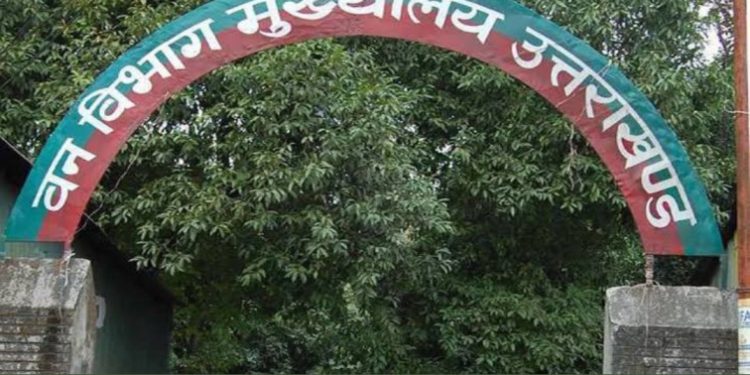 बड़ी खबर: वन विभाग में अधिकारियों के बंपर तबादले