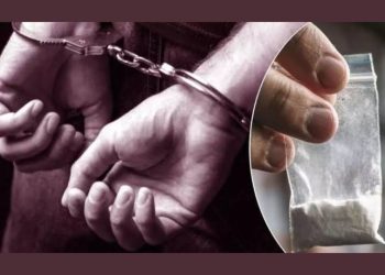 बड़ी खबर: ड्रग पेडलर लाखों की ड्रग के साथ म्यूजिक फेस्टिवल से गिरफ्तार