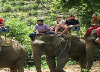 बड़ी खबर: राजा जी पार्क में पर्यटन को बढ़ावा देने के लिए जल्द शुरू होगी  हाथी सफारी