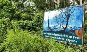 बड़ी खबर: खेती की आड़ में, विभागीय अधिकारियों की मिलीभगत से वन विभाग की भूमि पर अवैध कब्जा