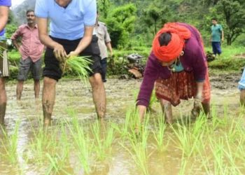 बड़ी खबर: लाल धान की खेती के लिए प्रोत्साहित करने को डीएम अभिषेक ने ग्रामीणों संग की रोपाई
