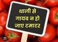 ताजा खबर: टमाटर फिर लाल हो कर आसमान छूने लगा आसमान,सब्जियों की रेट लिस्ट यहां देखिए…….