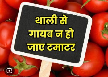 ताजा खबर: टमाटर फिर लाल हो कर आसमान छूने लगा आसमान,सब्जियों की रेट लिस्ट यहां देखिए…….