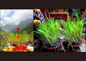 ब्रेकिंग न्यूज :हरेला की छुट्टी 17 जुलाई को होगी का आदेश जारी