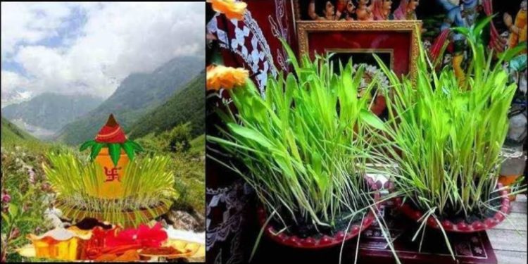 ब्रेकिंग न्यूज :हरेला की छुट्टी 17 जुलाई को होगी का आदेश जारी