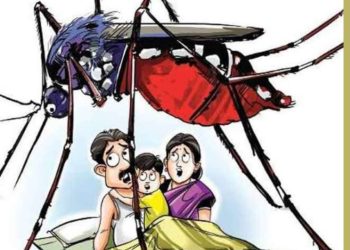 बड़ी खबर: डेंगू का प्रकोप जारी,रोज नए मरीज सामने आ रहे हैं