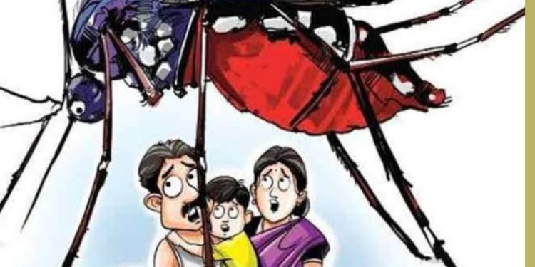 बड़ी खबर: डेंगू का प्रकोप जारी,रोज नए मरीज सामने आ रहे हैं