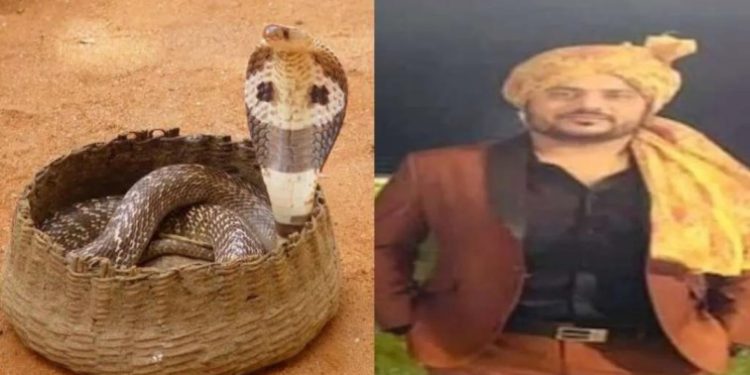 बड़ी खबर: सपेरा गैंग ने कितने ही अंकितों को सुलाया मौत के आगोश में