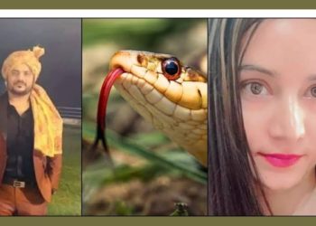 ब्रेकिंग न्यूज़: अंकित हत्याकांड में सरकार ने घोषित के 25000 -25000 का इनाम