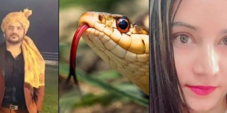 ब्रेकिंग न्यूज़: अंकित हत्याकांड में सरकार ने घोषित के 25000 -25000 का इनाम