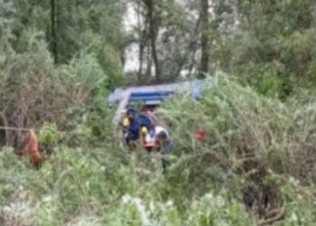 हादसा : 35 लोगों से भरी बस खाई में गिरी 6 की मौत