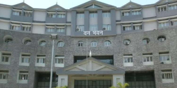 कार्यवाही : भ्रष्टाचार की खुली फाइल 11आईएफएस और 9 रेंजर आए जांच के घेरे में