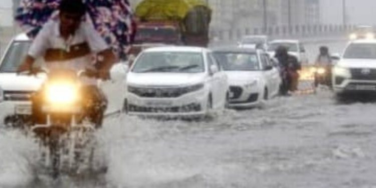 मौसम अपडेट : मौसम विज्ञान ने प्रदेश के 5 जिलों में आज भारी बारिश की संभावना जताई है