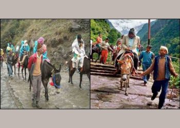 मानवीयता : बीमार और कमजोर घोड़ा खच्चरों से क्रूरता करने पर होगी FIR, जिलाधिकारी ने दिए आदेश