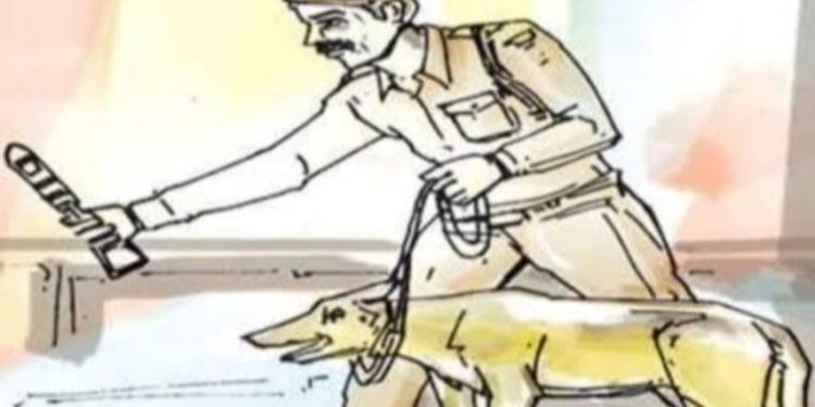 हैवानियत : हत्या के बाद शव के साथ घंटों किया बलात्कार