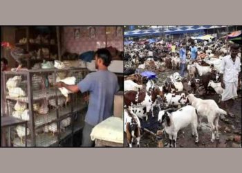 अल्टीमेटम : नॉनवेज खाने वाले सावधान,देहरादून में बिक रहा है बिना जांच किए चिकन मटन, हाईकोर्ट ने सरकार से मांगा जवाब