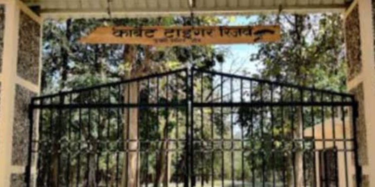 बड़ी खबर : सीबीआई करेगी कार्बेट पार्क की पाखरो रेंज में टाइगर सफारी की जांच