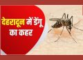 बड़ी खबर : डेंगू ने धारण किया विकराल रूप
