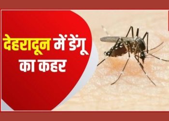 बड़ी खबर : डेंगू ने धारण किया विकराल रूप