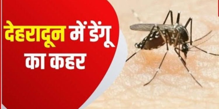 बड़ी खबर : डेंगू ने धारण किया विकराल रूप