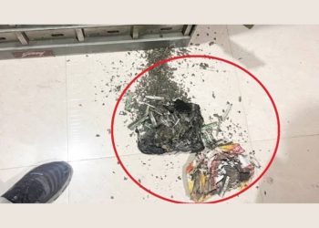 लापरवाही : बैंक के लॉकर में रखे नोट चट कर गए दीमक……