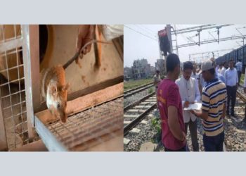 फिजूलखर्ची: 69 लाख रूपए खर्च किए रेलवे ने चूहा पकड़ने के लिए और हाथ में………