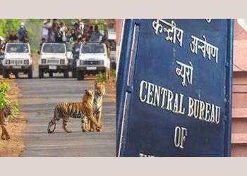 बड़ी खबर : सीबीआई ने  टाइगर सफारी प्रकरण में मुकदमा दर्ज किया गया……