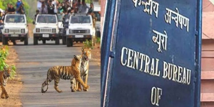 बड़ी खबर : सीबीआई ने टाइगर सफारी प्रकरण में मुकदमा दर्ज किया गया……