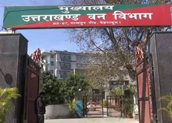 बड़ी खबर :एक फरमान से सड़क पर आ गए   वन विभाग के 19 कर्मचारी, जानिए पूरा मामला……