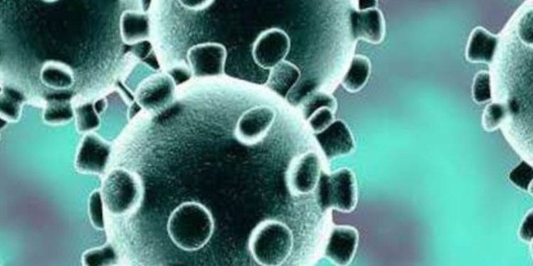 कोविड न्यूज :- बढ़ रहा कोरोना का खतरा, देहरादून में अब तक दो लोगों में कोरोना की पुष्टि