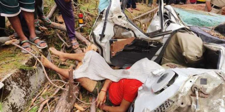 दुखद : यहां कार के ऊपर गिरा चीड़ का पेड़, एक की मौत एक गंभीर घायल