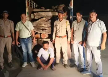 बड़ी खबर : बेशकीमती खेर की लकड़ी के साथ एक तस्कर गिरफ्तार, लाखों रुपए है कीमत