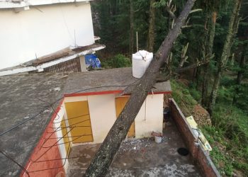 बड़ी खबर : यहां आंधी ने मचाई तबाही, कई मकानों पर गिरे पेड़, बाइक भी क्षतिग्रस्त