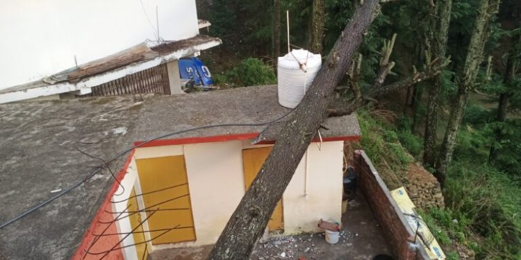 बड़ी खबर : यहां आंधी ने मचाई तबाही, कई मकानों पर गिरे पेड़, बाइक भी क्षतिग्रस्त