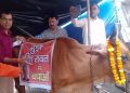 राजनीति: भाजपा की प्रेसवार्ता मे गाय के गले मे बैनर, लिखा मुझे ‘हरीश रावत से बचाओ’