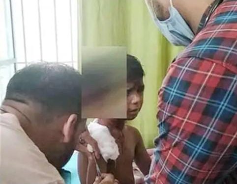 बड़ी खबर : यहां गुलदार ने बच्चे पर किया हमला, ताऊ की बहादुरी से बची मासूम की जान