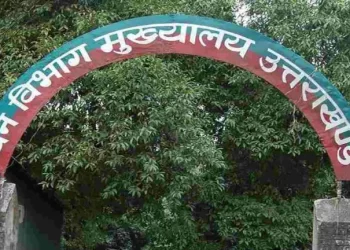 मनमानी : स्थानांतरण के बाद भी तैनाती स्थल नहीं गया डिप्टी रेंजर, डीएफओ के आदेशों की सरेआम अवेहलना