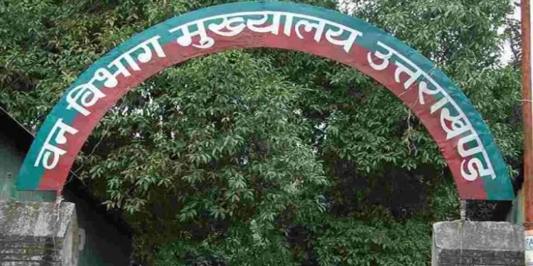 मनमानी : स्थानांतरण के बाद भी तैनाती स्थल नहीं गया डिप्टी रेंजर, डीएफओ के आदेशों की सरेआम अवेहलना