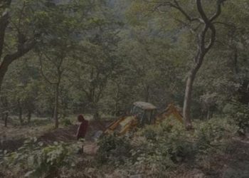 भ्रष्टाचार : इस कैबिनेट मंत्री के बेटे पर अवैध पेड़ों के कटान का मुकदमा मामला दर्ज, उत्तराखंड शासन में बड़े औंधे के हैं यह मंत्री