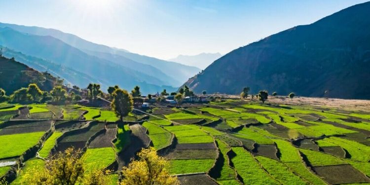 बड़ी खबर : अब प्रदेश में जमीन खरीदना होगा महंगा, 26 प्रतिशत तक होगी बढ़ोतरी