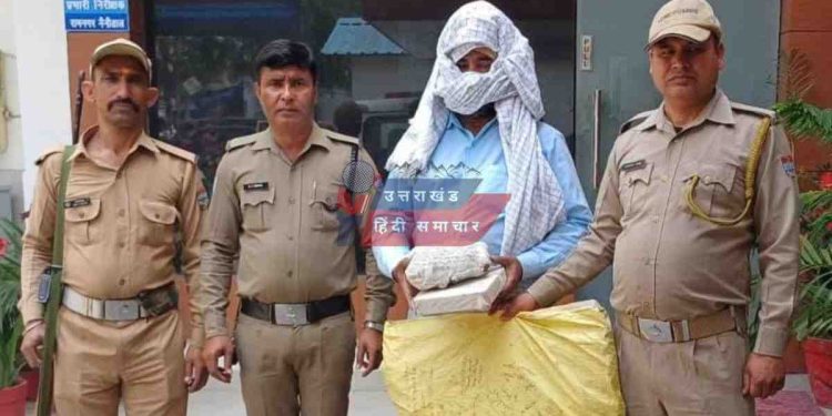 कार्रवाई : अफीम की खेती करने वाला उप प्रधान गिरफ्तार