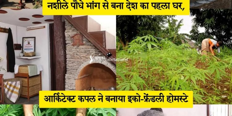 सराहनीय : आर्किटेक्ट दंपति ने नशीले भांग के पौधे से बनाया इको फ्रेंडली होम स्टे