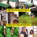 सराहनीय : आर्किटेक्ट दंपति ने नशीले भांग के पौधे से बनाया इको फ्रेंडली होम स्टे