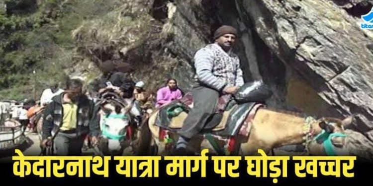 केदारनाथ : वायरस के चलते घोड़े -खच्चरों से यात्रा पर रोक