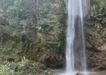 बड़ा हादसा : चकराता के टाइगर फॉल में झरने के साथ गिरा पेड़, दो की मौत चार घायल