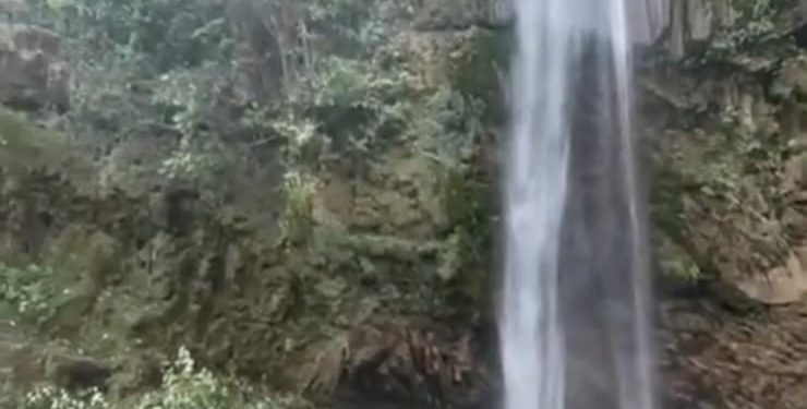 बड़ा हादसा : चकराता के टाइगर फॉल में झरने के साथ गिरा पेड़, दो की मौत चार घायल