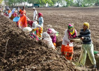 मनरेगा घोटाला : 50 ग्राम विकास अधिकारी और 82 मेट निष्कासित