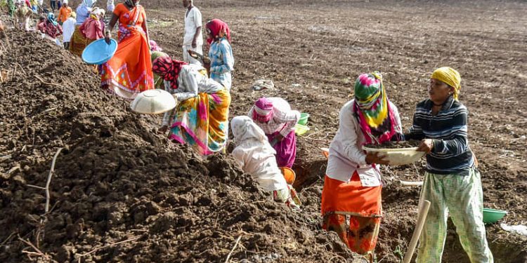 मनरेगा घोटाला : 50 ग्राम विकास अधिकारी और 82 मेट निष्कासित